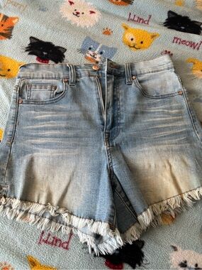 Celebrity Pink Light Blue Distressed Denim Fringe Hem Shorts